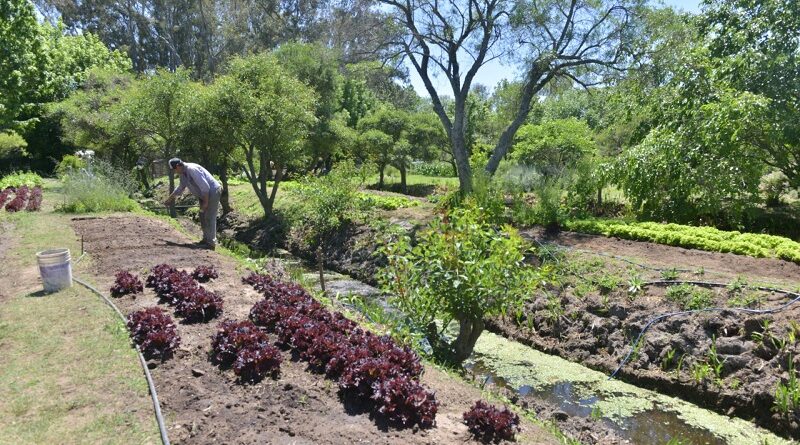 AGRICULTURA