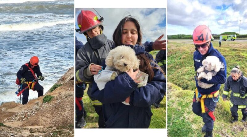 rescate de caniche en acantilado mdp 1