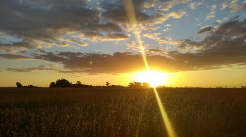 PROV. BSAS AMANECER