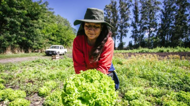 cooperativa mujeres Batan