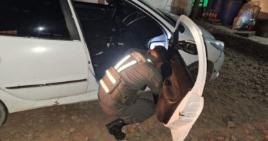 Marihuana oculto en auto Salta-Tucuman