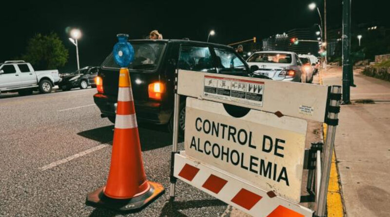CONTROLES SEGURIDAD MDP