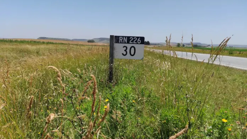 ruta 226 banquinas