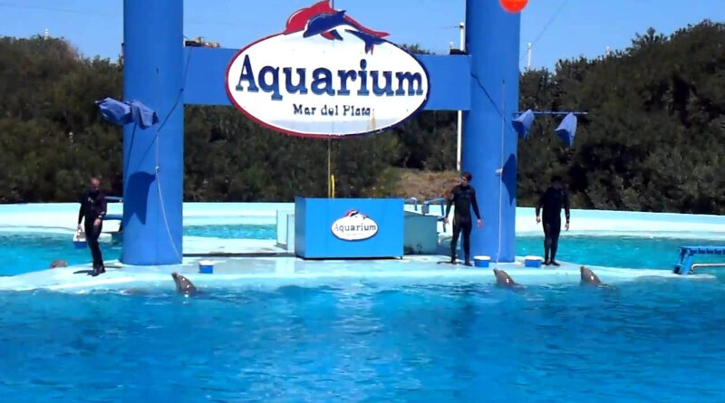 ACUARIUM MDP