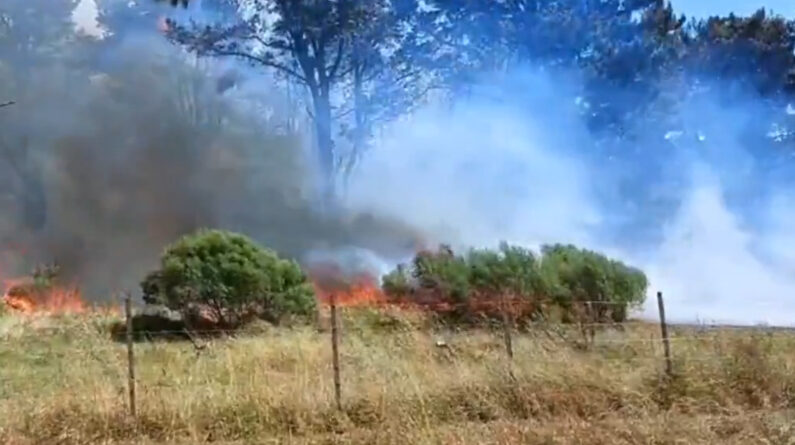 INCENDIO EN EL MARQUESADO