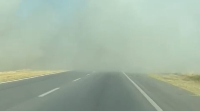 incendio ruta 226