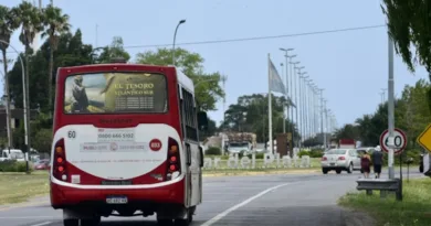 COLECTIVOS-MAR-DEL-PLATA-1
