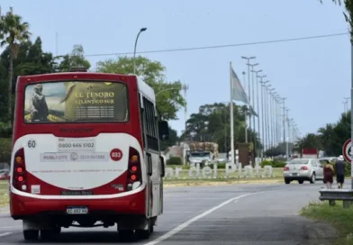 COLECTIVOS-MAR-DEL-PLATA-1