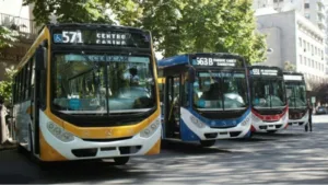 Colectivos-mar-del-plata