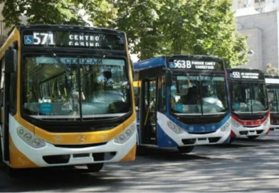 Colectivos-mar-del-plata