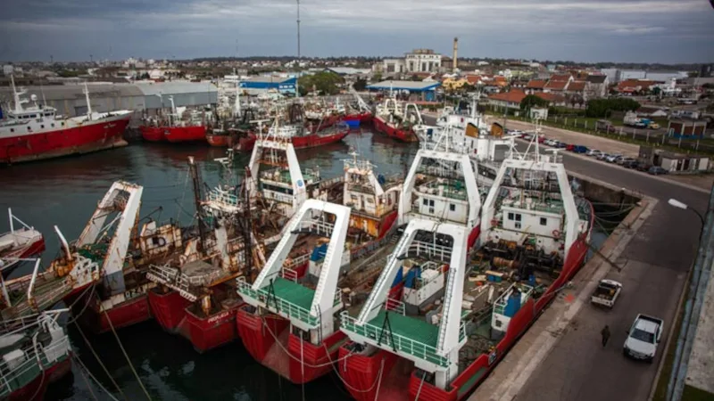 FRESQUEROS EN PUERTO