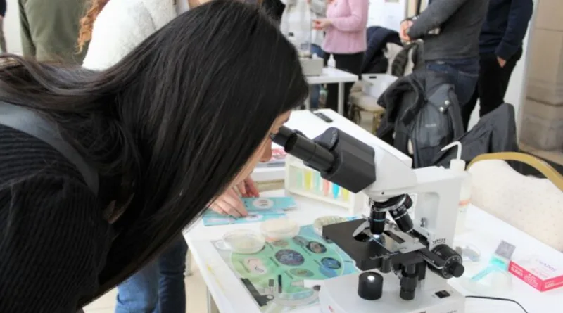 JORNADAS INVESTIGAR UNMDP
