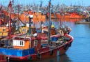 pesca puerto