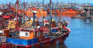 pesca puerto
