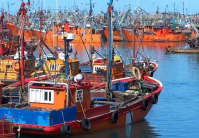 pesca puerto
