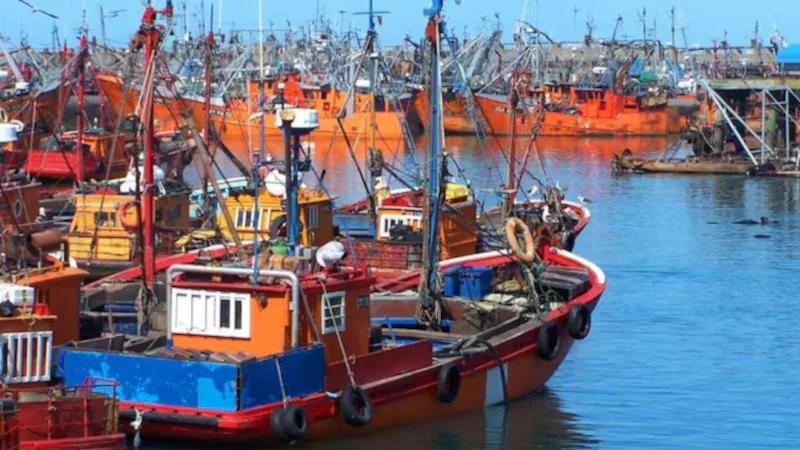 pesca puerto