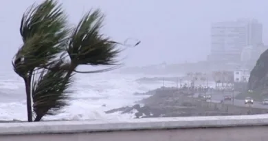 Vientos fuertes costa marplatense