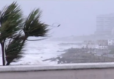 Vientos fuertes costa marplatense