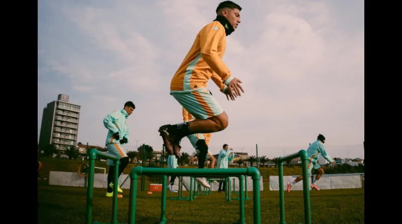 Aldosivi pretemporada 2025