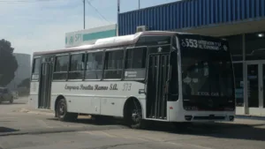 colectivo-peralta-ramos-mdp