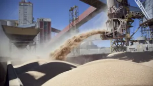agroindustria-soja