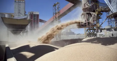 agroindustria-soja