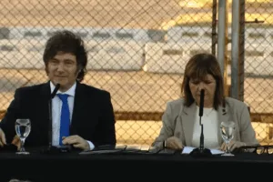 MILEI Y BULRRICH PENAL