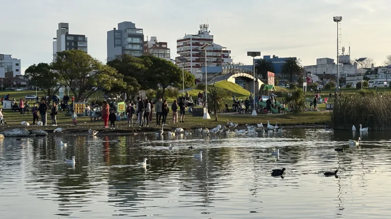 PLAZA 44 HEROES PUNTA MOGOTES