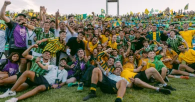 Aldosivi goleo, se quedó en primera y desato la fiesta en Mar del Plata Aldosivi vs San Martin