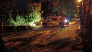 Defensa Civil caida de arboles viento