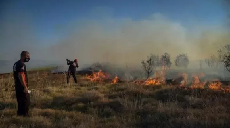 INCENDIOS-FORESTALES
