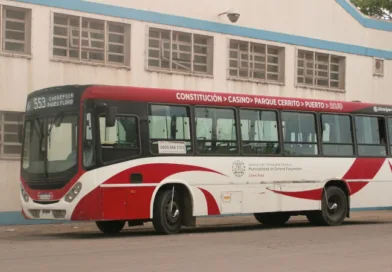 colectivo MDP