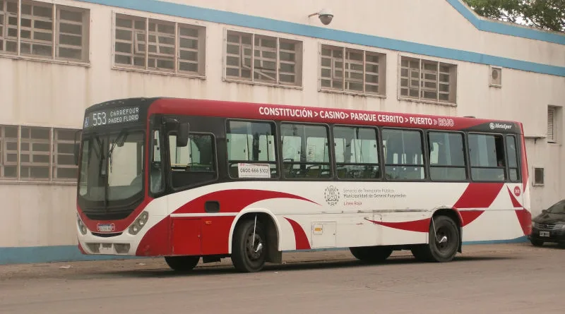 colectivo MDP