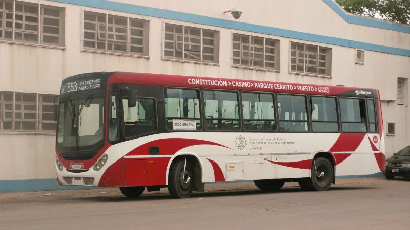 colectivo MDP