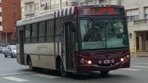 linea 511 colectivo mdp