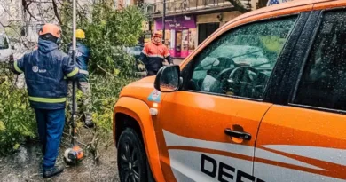 defensa civil mdp